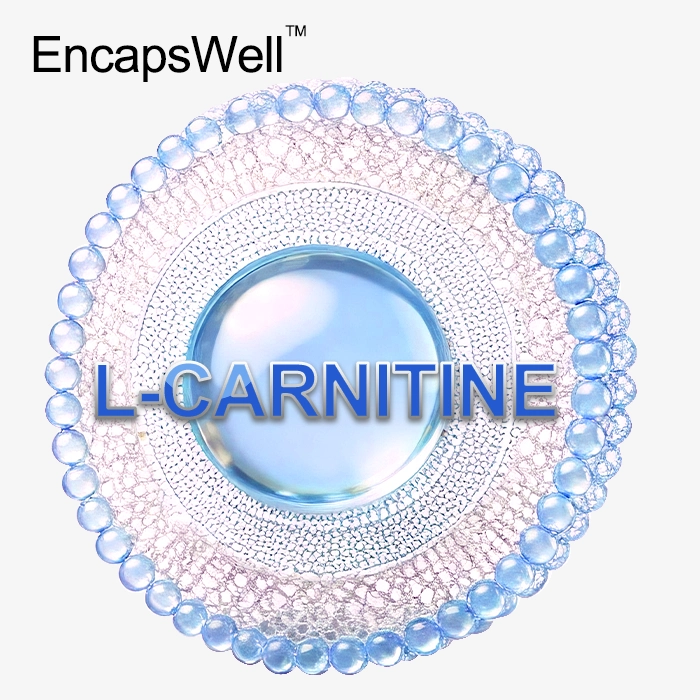 Liposomal L-Carnitine powder